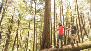 Senior Couple on a Day Hike in Forest 2
